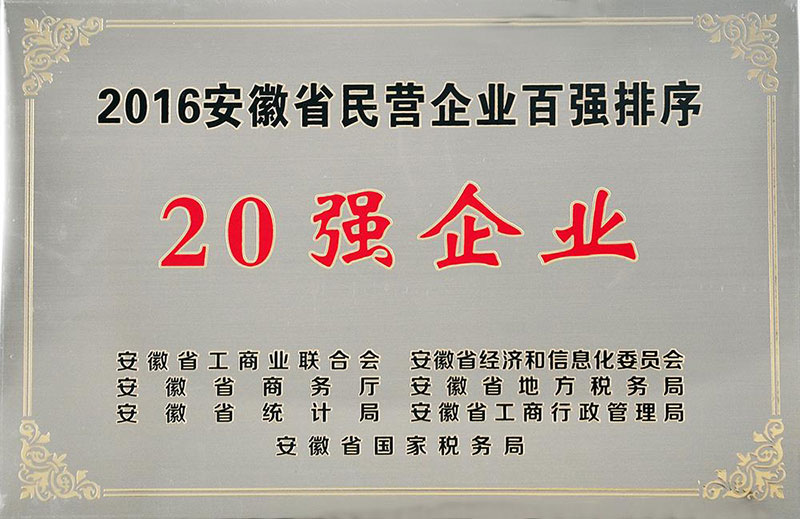 2016年度安徽省民营企业百强