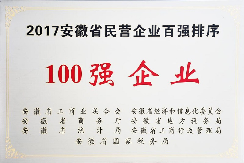 2017年度安徽省民营企业百强